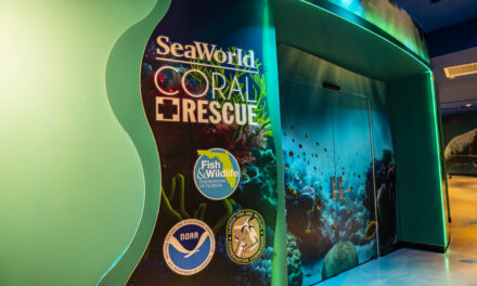 SeaWorld inaugura atração dedicada à conservação de corais no USA