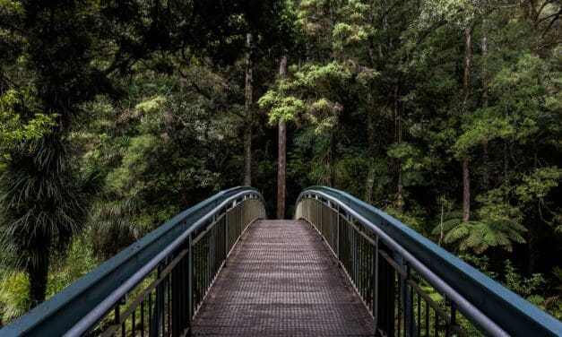 Turismo de natureza cresce 30% ao ano