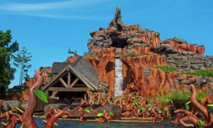 Splash Mountain é a atração mais popular da Disney