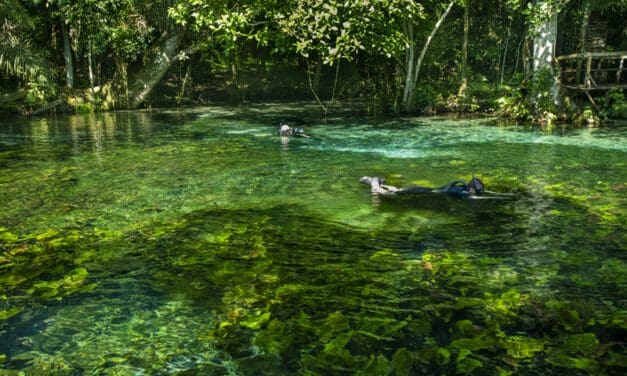 Bonito tem voos ampliados e atrativos para curtir a natureza