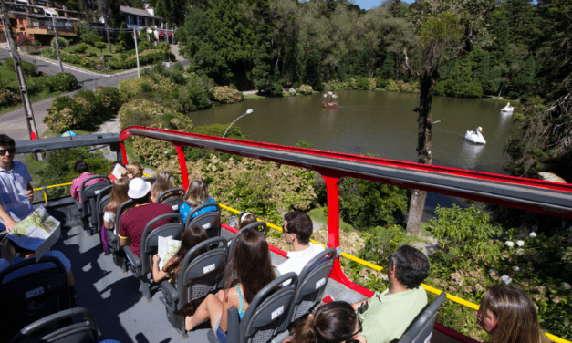 Bustour celebra dez anos com ações e atividades na Serra Gaúcha