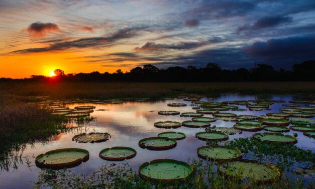 Turismo de Experiência: nova tendência no setor