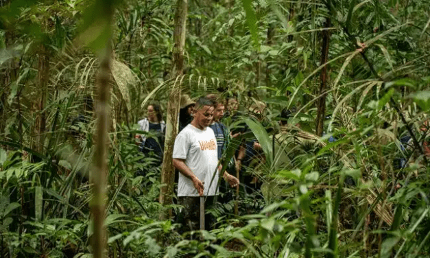 Instituto Bancorbrás fecha parceria em prol do turismo sustentável