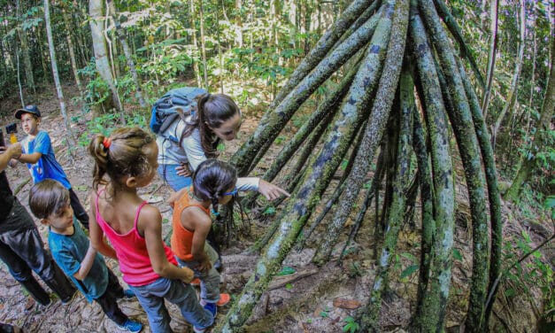 Cristalino Lodge (MT) lança programação para as famílias