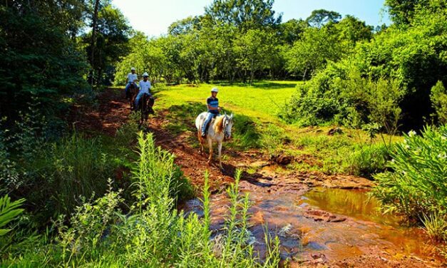 Setur-SP lança consulta pública para o Plano de Turismo Rural