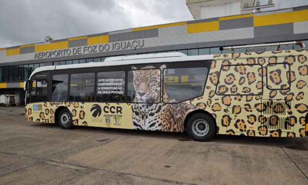 Projeto “Onças do Iguaçu” chega ao aeroporto de Foz do Iguaçu