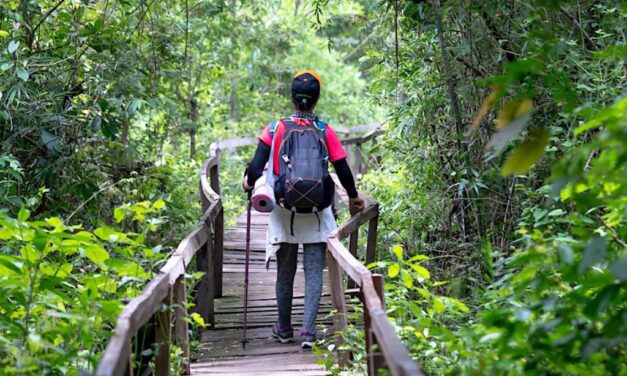 Turismo tem papel importante na preservação ambiental