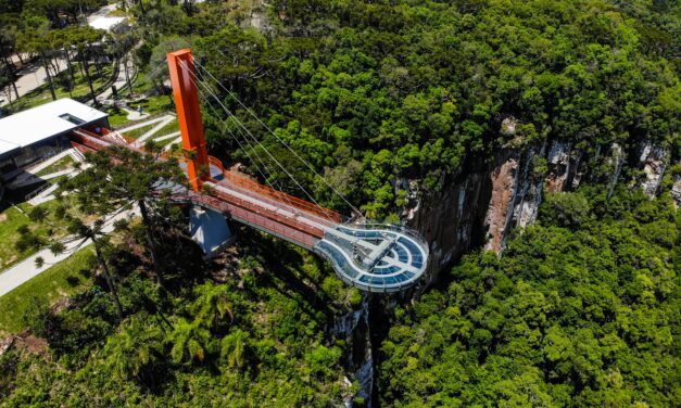 Skyglass Canela encerra 2023 com balanço positivo