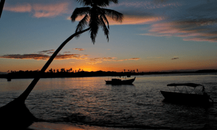 Voo de Salvador para Boipeba impulsiona turismo na Costa do Dendê