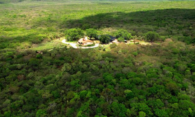 Beach Park adota 20 hectares de reserva natural no Ceará