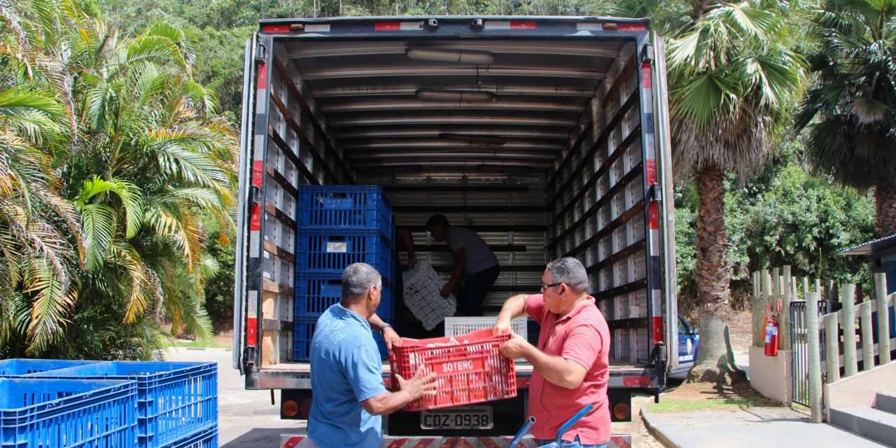 Magic City distribuiu 17 toneladas de alimentos em janeiro