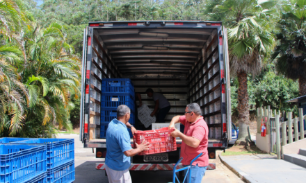 Magic City distribuiu 17 toneladas de alimentos em janeiro