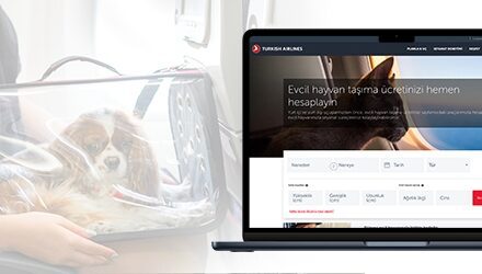 Turkish Airlines: 10 dicas para viajar com animais de estimação