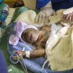 Fêmea de Orangotango em extinção nasce em Busch Garden
