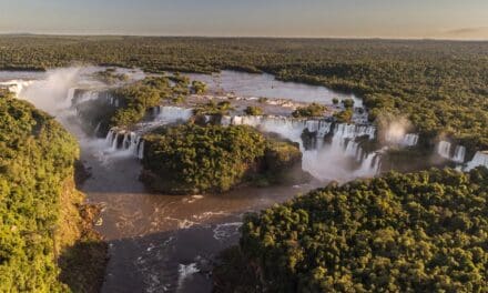 Foz do Iguaçu sedia evento sobre gestão de Unidades de Conservação