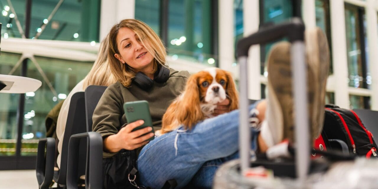 O que é necessário para viajar com cachorro no avião?