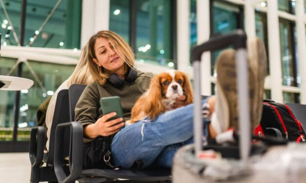 O que é necessário para viajar com cachorro no avião?
