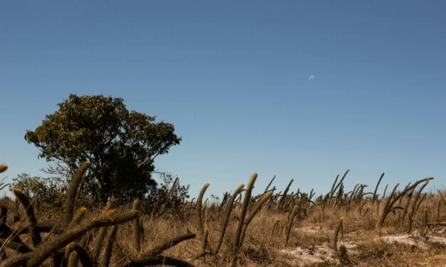 Projeto prevê criação de Rota Turística da Serra da Canastra