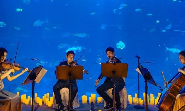 AquaRio recebe concertos Candlelight no Dia das Mães