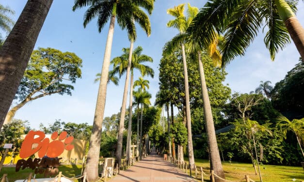 BioParque do Rio terá feijoada e música ao vivo no Dia das Mães