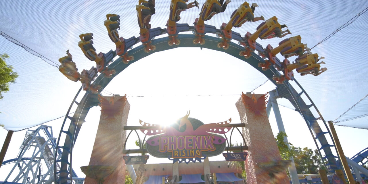 Busch Gardens Tampa Bay inaugura Phoenix Rising neste domingo (21)