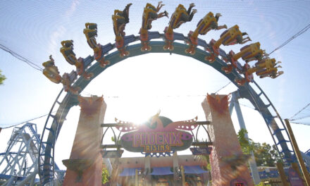 Busch Gardens Tampa Bay inaugura Phoenix Rising neste domingo (21)