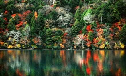 Outono no Japão tem cores e tradições enriquecedoras