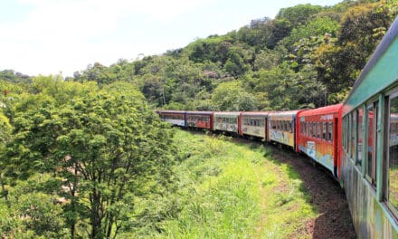Trem para Morretes funcionará de 11 a 31 de julho