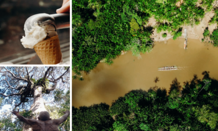 MTur destaca experiências turísticas de Belém em série nas redes sociais