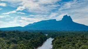Brasil volta a receber viajantes em expedições junto ao povo Yanomami