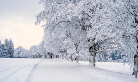 Confira dicas para conhecer neve em Bariloche