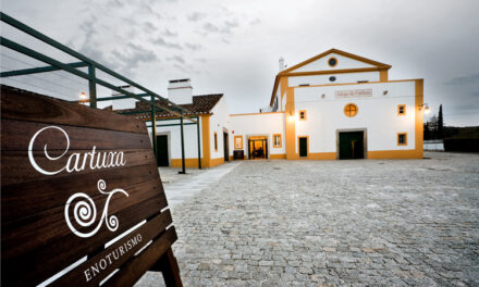 Quatro vinícolas para um roteiro de enoturismo pelo Alentejo