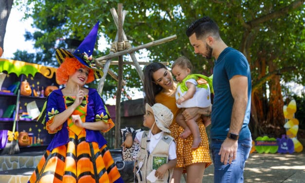 Busch Gardens Tampa Bay estreia Halloween Harvest neste sábado (7)