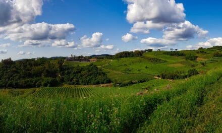 Parque Gasper reabre e oferece experiências no Vale dos Vinhedos após enchentes