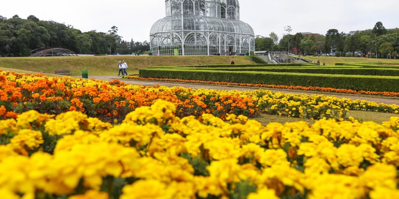 Curitiba se destaca entre os 30 melhores destinos do mundo para 2025