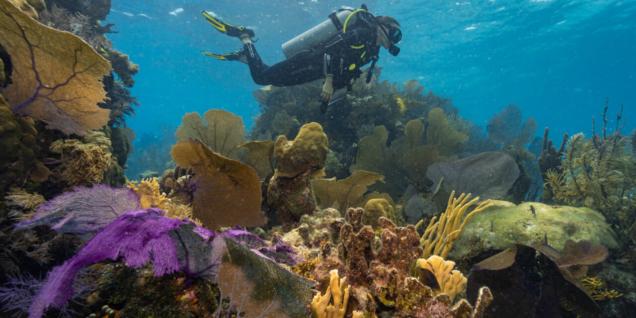 Belize se destaca como um destino sustentável