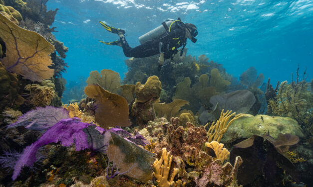 Belize se destaca como um destino sustentável