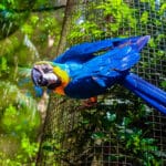 3° Integra BWT explora a fauna e atrações de Foz do Iguaçu