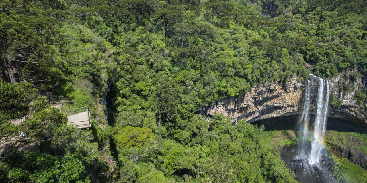 Última semana para visitar o Parque do Caracol antes de fechamento para obras