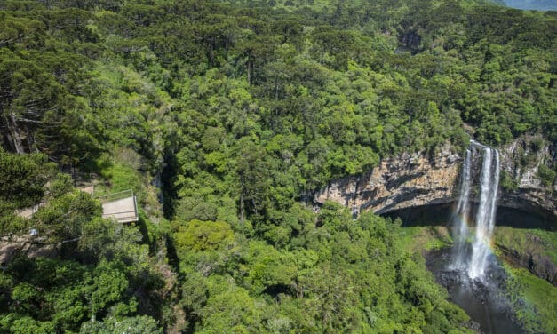 Última semana para visitar o Parque do Caracol antes de fechamento para obras