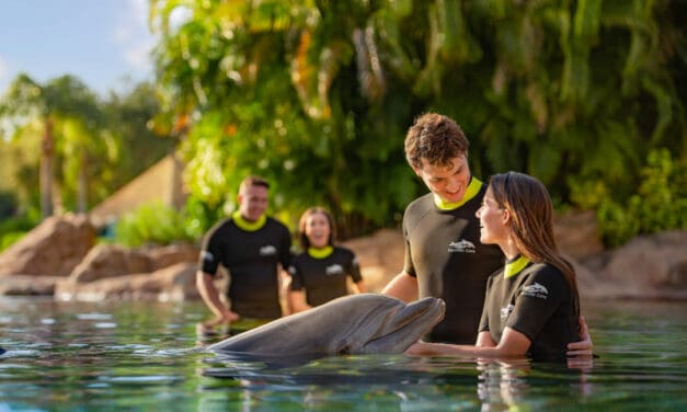 Discovery Cove atualiza requisitos para interação com golfinhos