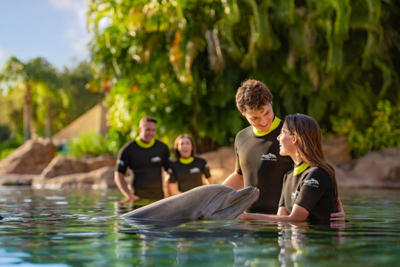 Discovery Cove atualiza requisitos para interação com golfinhos