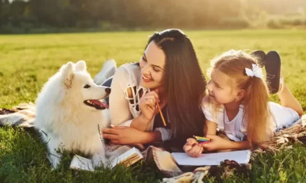 Wish expande sistema dog friendly e alcança mais de 1,2 mil diárias