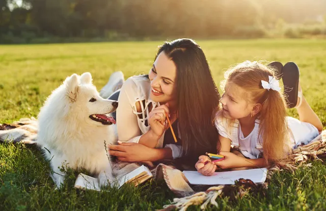 Wish expande sistema dog friendly e alcança mais de 1,2 mil diárias