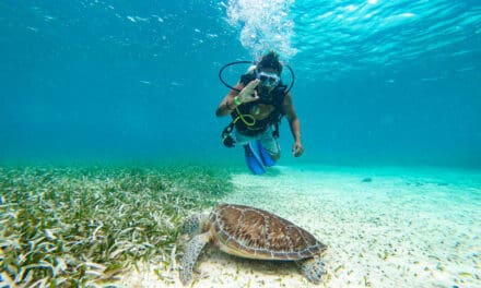 Belize é destaque mundial em turismo sustentável e de aventura