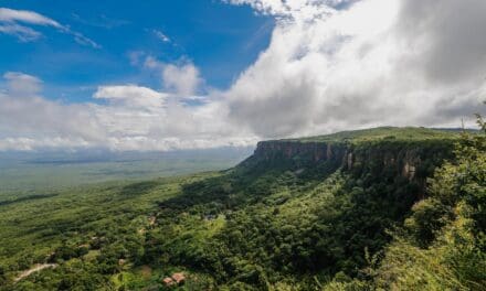 1ª FTB Piauí espera receber 15 mil participantes