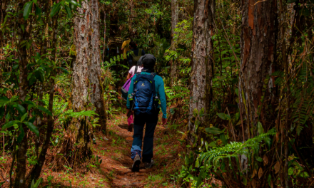 São Paulo lança portfólio de Ecoturismo para agências e operadoras