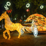 Socorro ilumina o Natal com inclusão e sustentabilidade