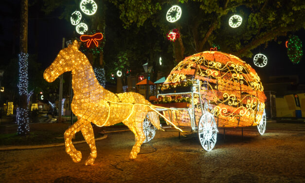 Socorro ilumina o Natal com inclusão e sustentabilidade