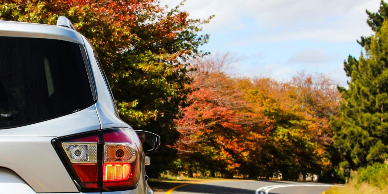 Locadoras fecham 2024 com crescimento de 5% em compras de carros